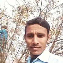 Green Seekers Activity